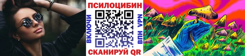Псилоцибиновые грибы Cubensis  Кисловодск 
