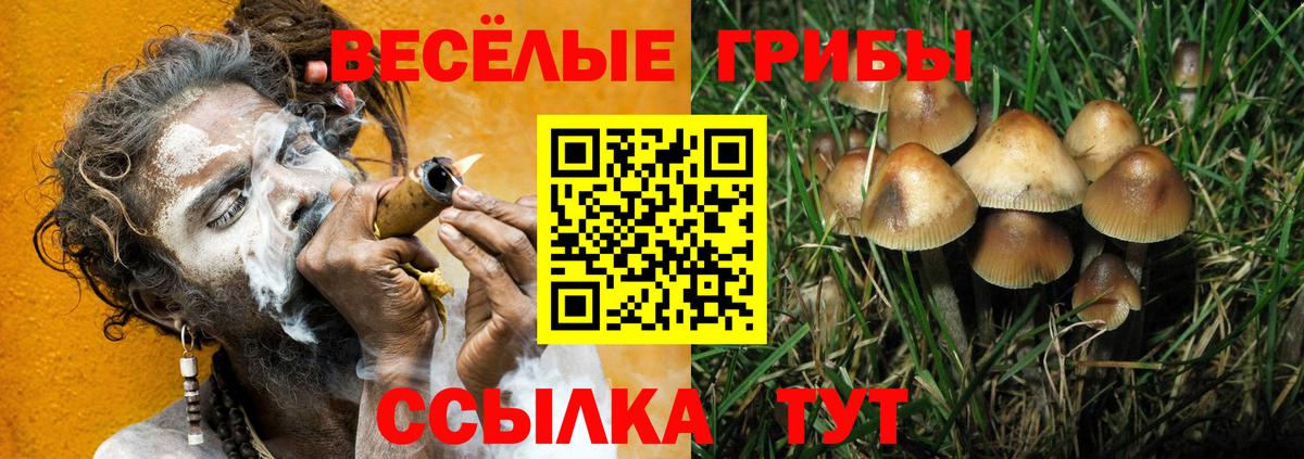Галлюциногенные грибы Cubensis  Вход с VPN  Кисловодск 